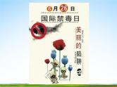 通用版主题班会《国际禁毒日》精品教学课件PPT优秀课件6