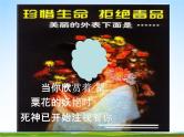通用版主题班会《国际禁毒日》精品教学课件PPT优秀课件6