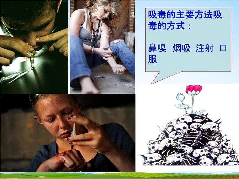 通用版主题班会《国际禁毒日》精品教学课件PPT优秀课件906