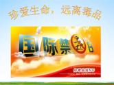 通用版主题班会《国际禁毒日》精品教学课件PPT优秀课件8