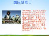 通用版主题班会《国际禁毒日》精品教学课件PPT优秀课件2