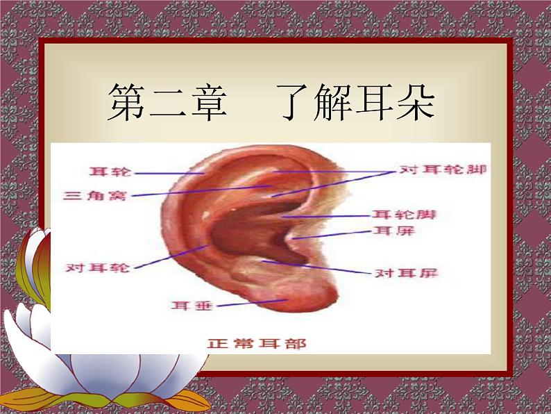 爱耳日宣传 课件08