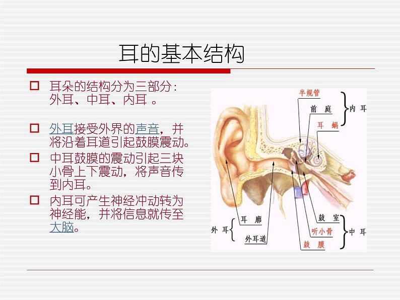 爱耳日讲座 课件第7页