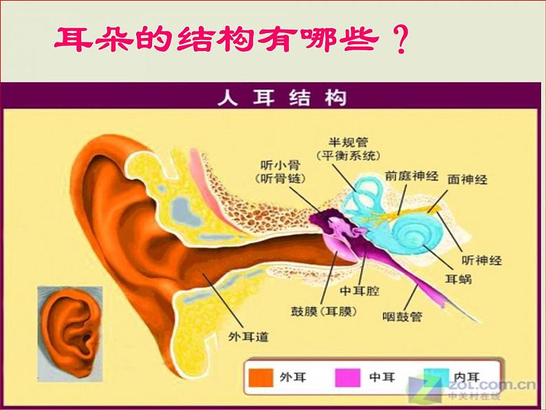 爱耳日 (主题班会)第6页