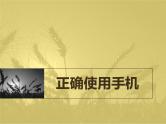 中学生使用手机主题班会（2份）