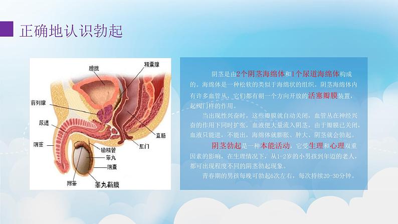 青春期健康教育 主题教育课件05