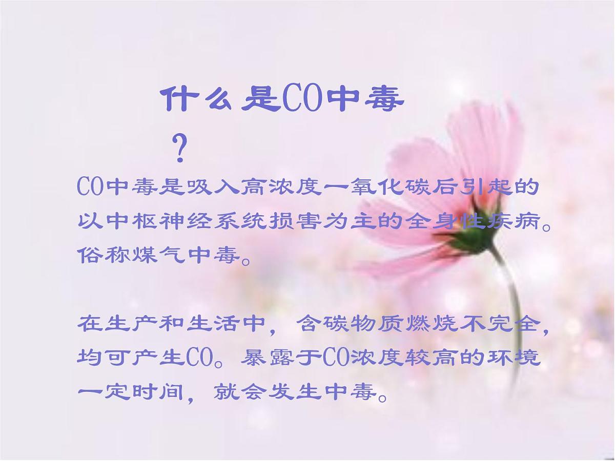 一氧化碳中毒的急救与护理 课件（34ppt）第5页
