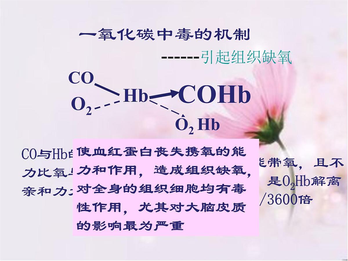 一氧化碳中毒的急救与护理 课件（34ppt）第6页