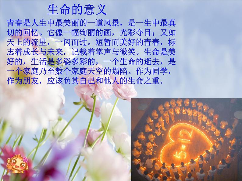 珍爱生命主题班会第2页