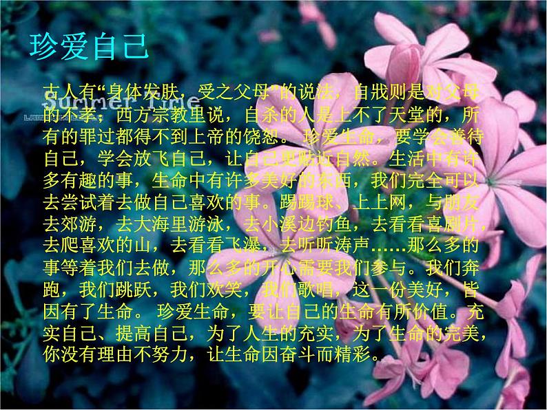 珍爱生命主题班会第5页