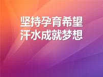 关于坚持梦想的主题班会课件