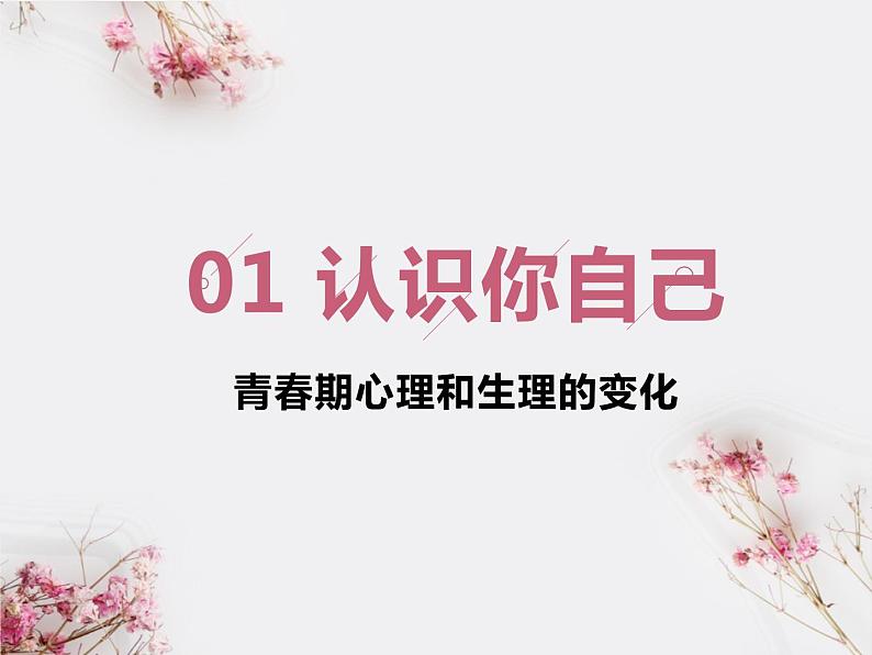 高中女生心理健康教育课件第4页