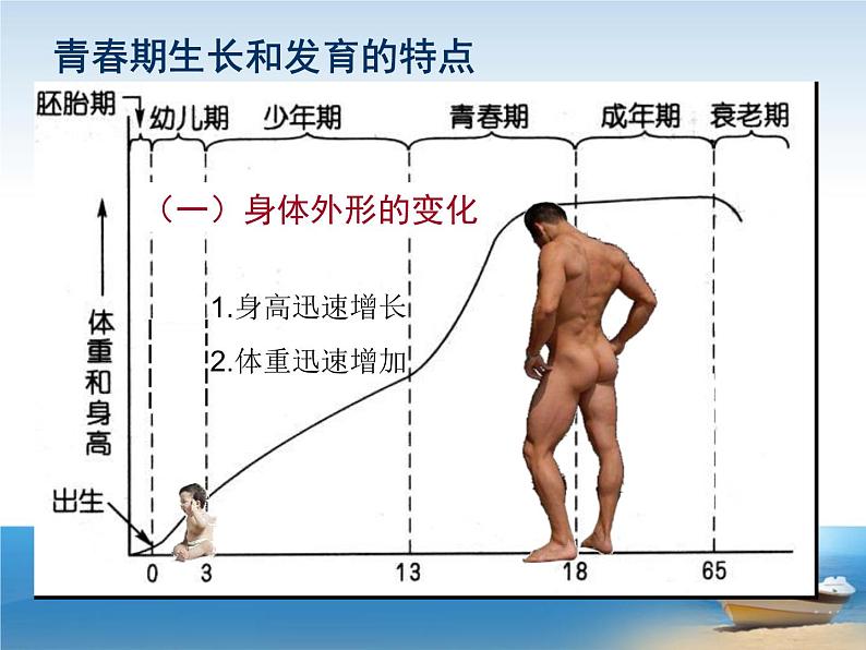 青春期男生生理教育课件04