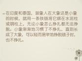 《习惯与学习、人生》主题班会课件