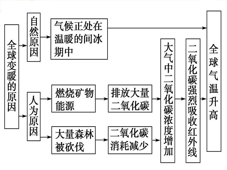 世界环境日主题班会课件第8页