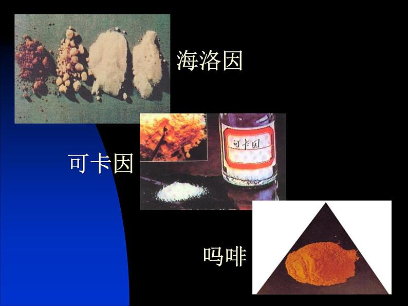 禁毒主题班会 (4)课件07