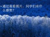 主题班会(献爱心)课件