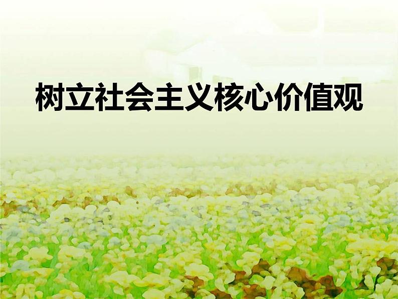 社会主义核心价值观主题班会——ppt课件01