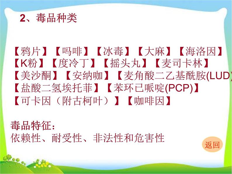 禁毒主题班会ppt课件04