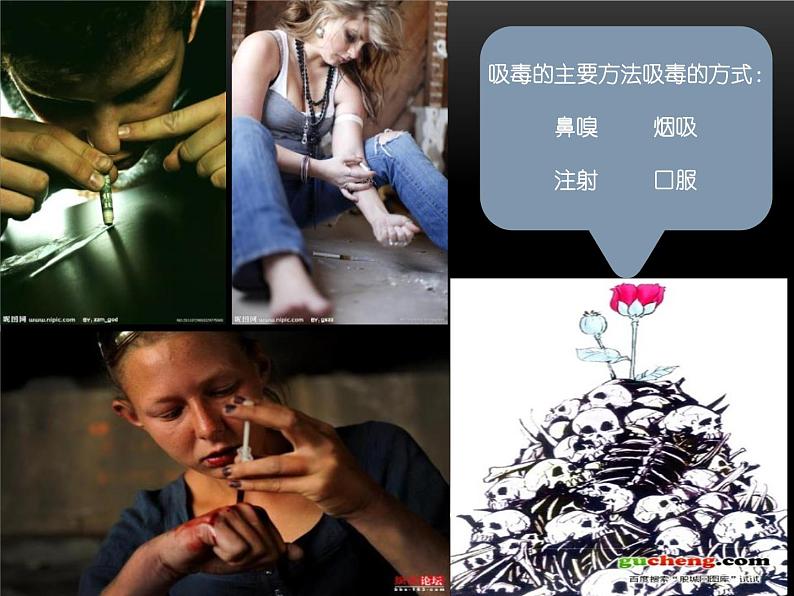 禁毒主题班会 (1)课件05