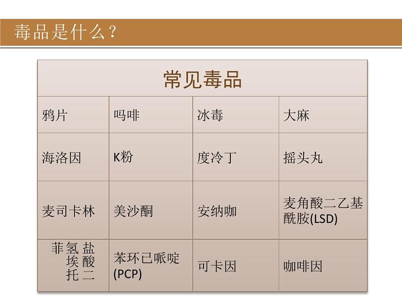 禁毒宣传主题班会课件05