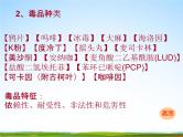 通用版主题班会《国际禁毒日》精品教学课件PPT优秀课件13