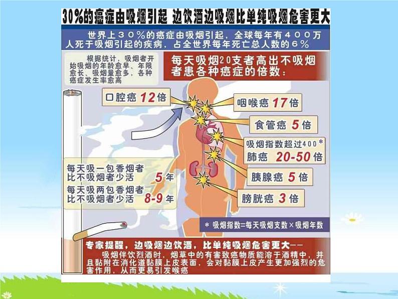 通用版主题班会《世界无烟日：吸烟有害健康》精品教学课件PPT优秀课件03