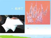通用版主题班会《国际禁毒日》精品教学课件PPT优秀课件