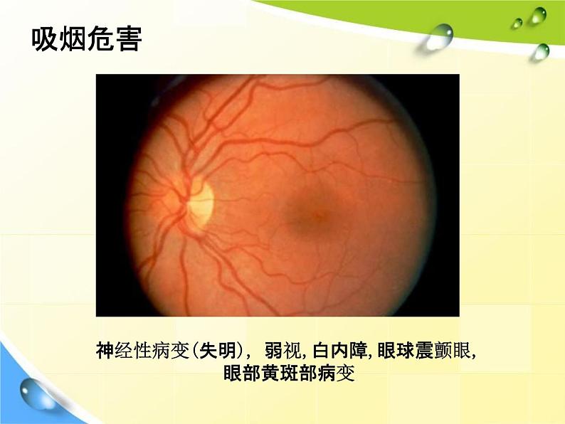 通用版主题班会《校园安全教育》精品教学课件PPT优秀课件6第6页