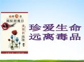 通用版主题班会《国际禁毒日》精品教学课件PPT优秀课件12