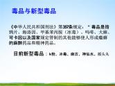 通用版主题班会《国际禁毒日》精品教学课件PPT优秀课件12