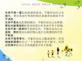 通用版主题班会《交通安全教育》精品教学课件PPT优秀课件