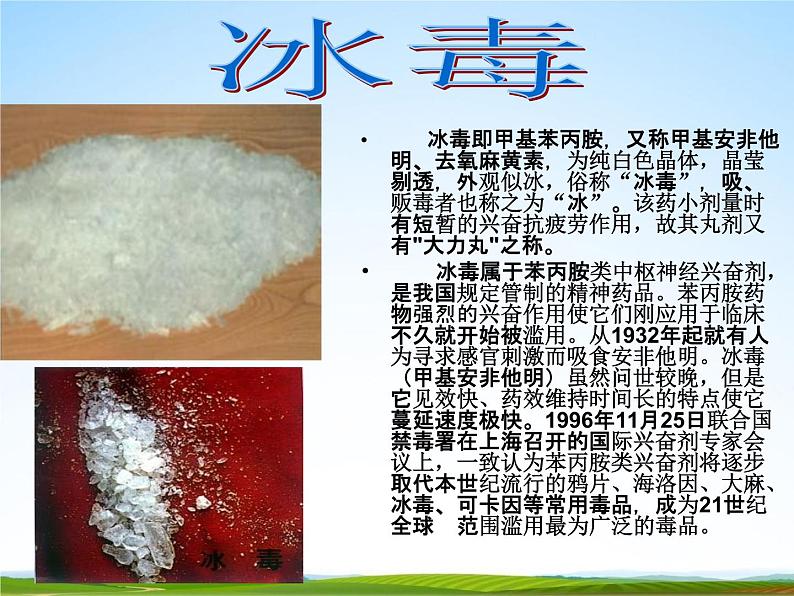 通用版主题班会《国际禁毒日》精品教学课件PPT优秀课件16第8页