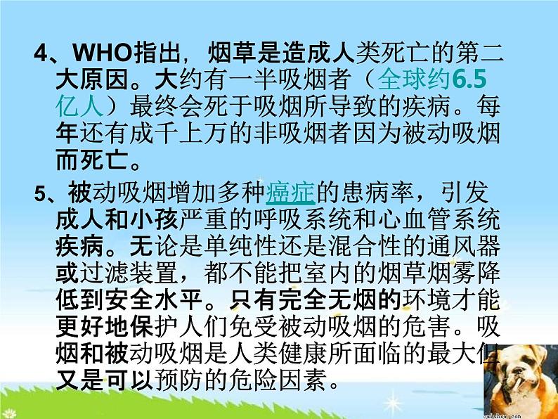 通用版主题班会《世界无烟日：远离烟草、毒品》精品教学课件PPT优秀课件06