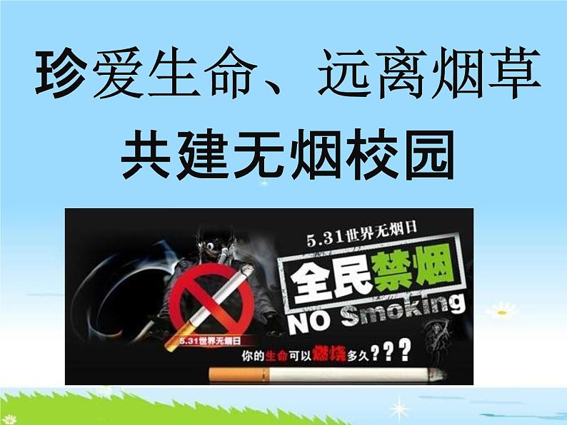 通用版主题班会《世界无烟日：珍爱生命、远离烟草》精品教学课件PPT优秀课件02