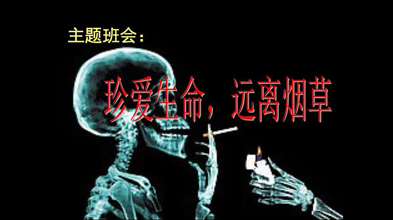 《珍爱生命，拒绝烟草》主题班会ppt课件05