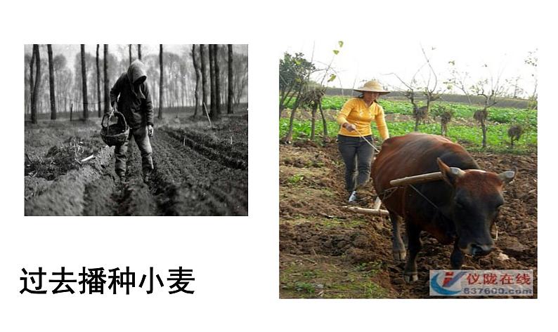 节约粮食、杜绝浪费主题班会PPT课件05