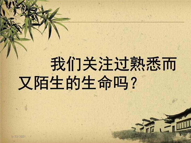 关注生命  热爱生命活动课主题教育班会课件03