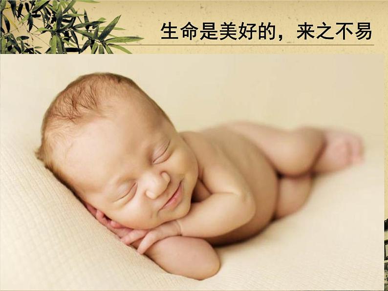 关注生命  热爱生命活动课主题教育班会课件04