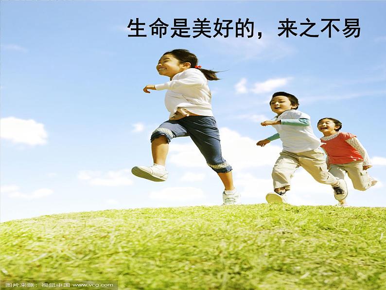 关注生命  热爱生命活动课主题教育班会课件05