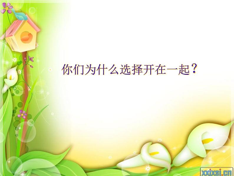 友谊万花筒第2页