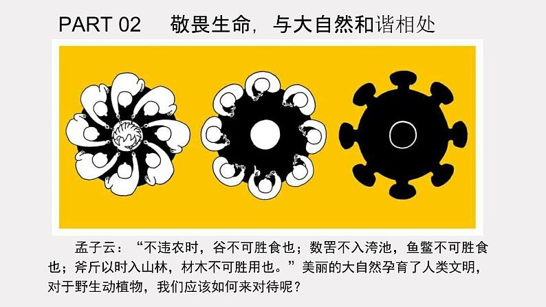 一起寻找生命中的光第4页