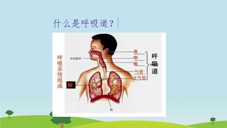 预防呼吸道传染病第3页