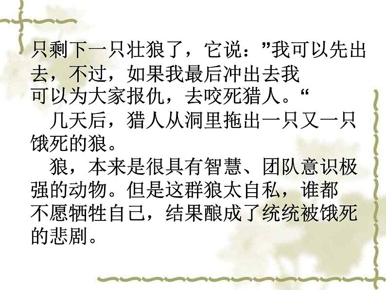 今天我当家第5页