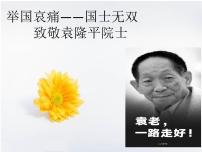 致敬袁隆平院士-主题班会课件