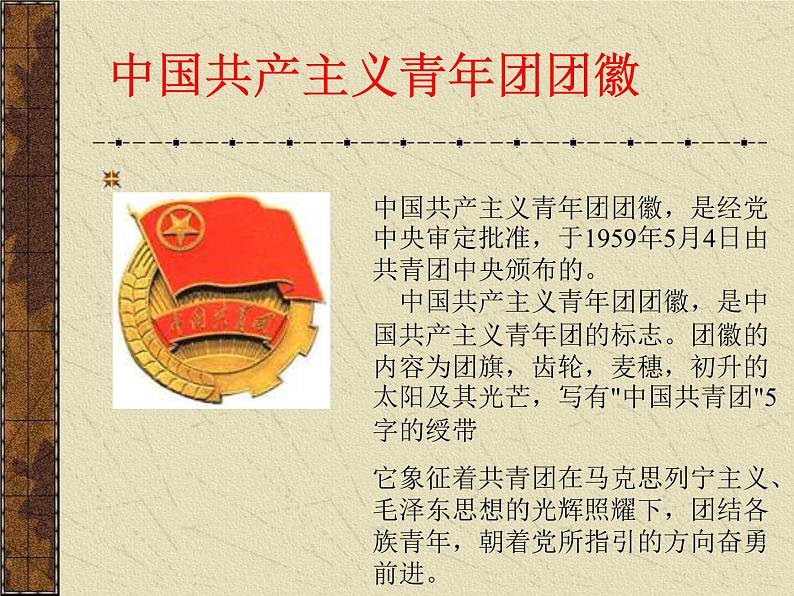 新团员团课学习课件05