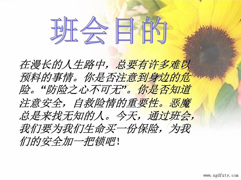 安全主题班会5课件第2页