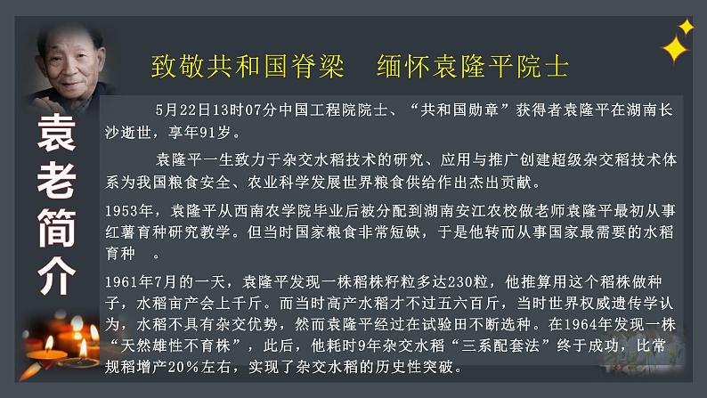 致敬共和国脊梁  缅怀袁隆平院士第4页