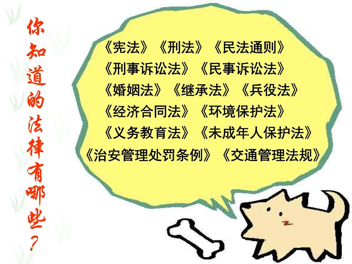 法制在身边课件第4页