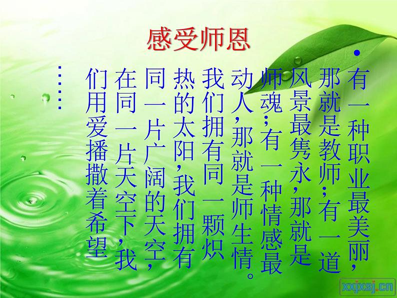 真情恒在，师恩难忘课件02